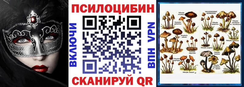 Псилоцибиновые грибы Magic Shrooms Сергач